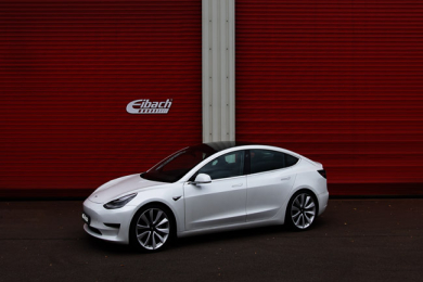 Tesla Model 3 Eibach Pro-Kit