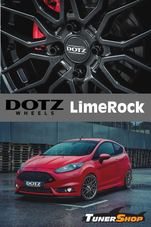 DOTZ LimeRock grey on Ford Fiesta ST